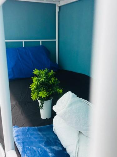 a bedroom with a bed and a potted plant at Affordable 3BR for 8 pax Malaysian guest only Walk to Usm Netflix in Gelugor