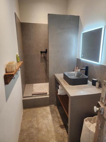 une salle de bain avec un lavabo et une douche dans l'établissement La Provence centre ville, piscine, jardin, terrasse, à Nîmes