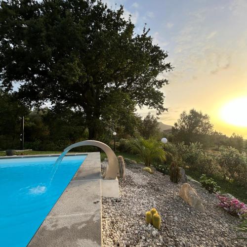a swimming pool next to a garden with a tree at Villa Grazia in SantʼAgata di Militello