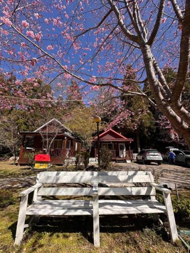 a wooden bench sitting in the grass under a tree at 桃山渡假農場 in Hualing