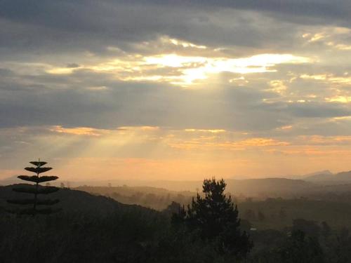 a tree on top of a hill with a sunset at Armadale Country Retreat in Gqeberha