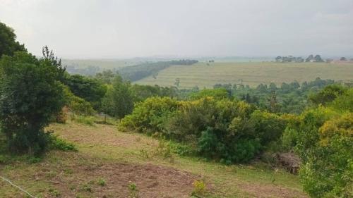 a view of a field from a hill with trees at Armadale Country Retreat in Gqeberha