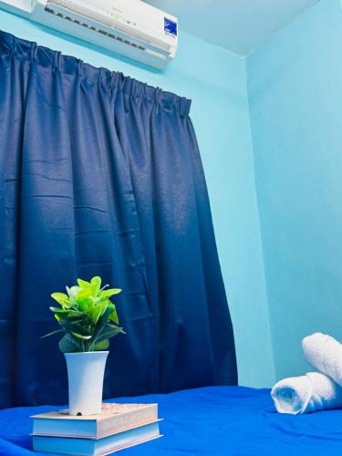 a blue bedroom with a blue curtain and a plant at 3br 8 pax budget Malaysian guest only family stay in penang in Gelugor
