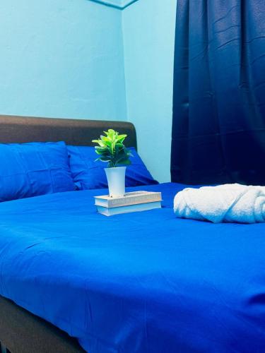 a blue bed with a plant on top of it at 3br 8 pax budget Malaysian guest only family stay in penang in Gelugor