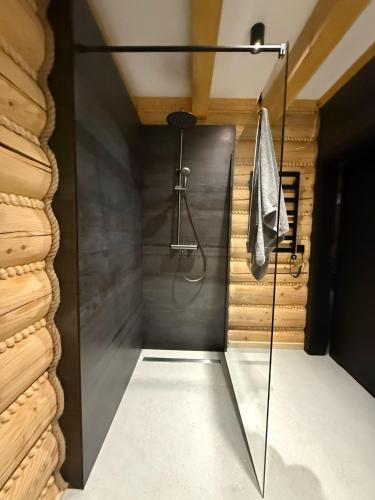 a shower with a glass door in a bathroom at Skalna Osada in Istebna