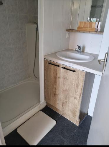 une salle de bain avec un lavabo, des toilettes et une douche dans l'établissement Duplex 2 chambres vue panoramique Mer, au Barcarès