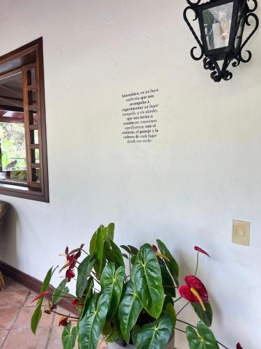 Galeriebild der Unterkunft Autenthico Sajonia Hotel Aeropuerto in Rionegro