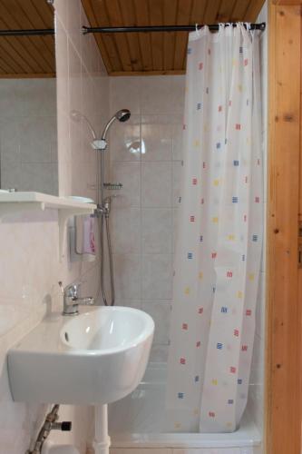 a bathroom with a sink and a shower curtain at Hiša Bistrica in Bohinj