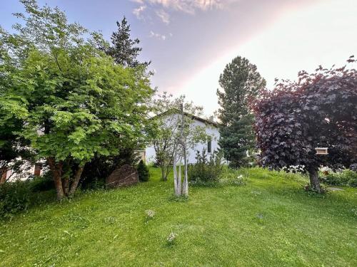 a yard with trees and a house at Apartment Blick Lischana- ein Traum mit Bergpanorama, Sauna, Hottub in Scuol