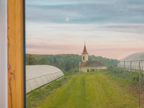 Příroda nedaleko apartmánu