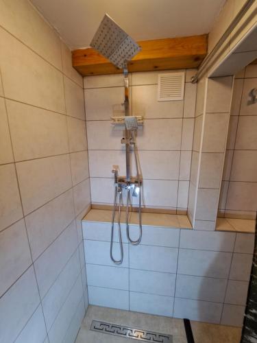 a shower with a shower head in a bathroom at Holiday House Ane in Sušanj