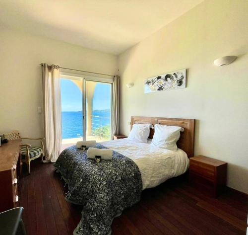 a bedroom with a bed with a view of the ocean at Casamea - Sagone, Villa Vue Mer, Clim, Piscine in Coggia