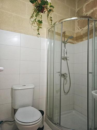 a bathroom with a toilet and a glass shower at Virginia Farmhouse in Kerċem