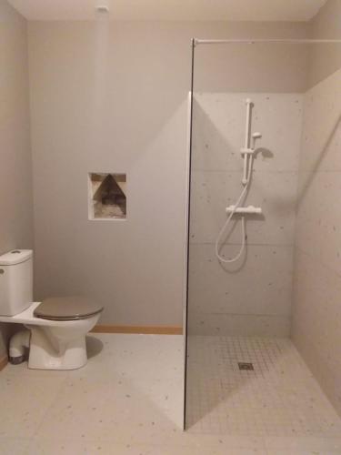 La salle de bains est pourvue de toilettes et d'une cabine de douche en verre. dans l'établissement Arbousiers, à Vendays-Montalivet