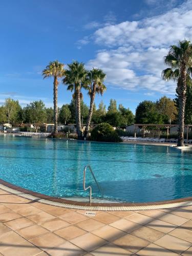 une grande piscine avec des palmiers en arrière-plan dans l'établissement Au Petit Bonheur, à Vias