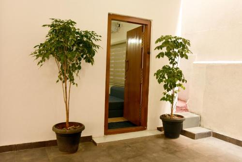 班加罗尔Studio Room in Vijayanagar的门前有两棵盆栽的树