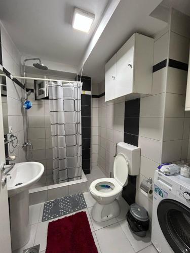 a small bathroom with a toilet and a sink at Nikolovi Apartment in Skopje