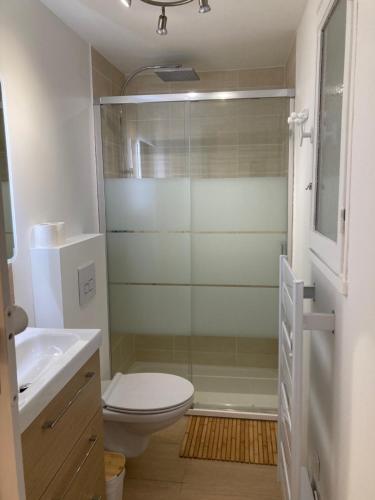 une salle de bain avec une douche, des toilettes et un lavabo dans l'établissement Appartement Le Cœur Grau, au Grau-du-Roi