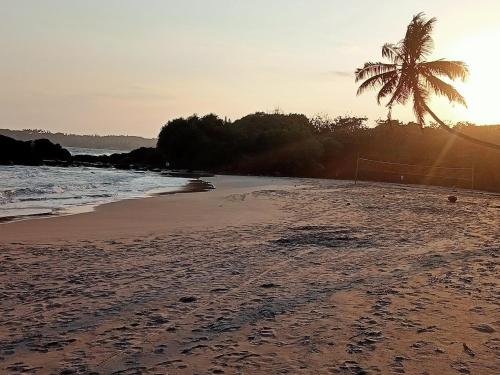 a beach with a soccer ball and a palm tree at Vimukthi ocean bliss villa in Sinimodera