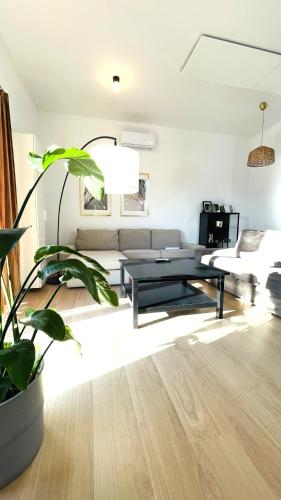 House FLOW, 3 room, free 2 parking