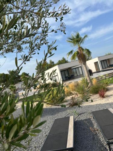 Photo de la galerie de l'établissement VILLA LUMIERE, à Nîmes