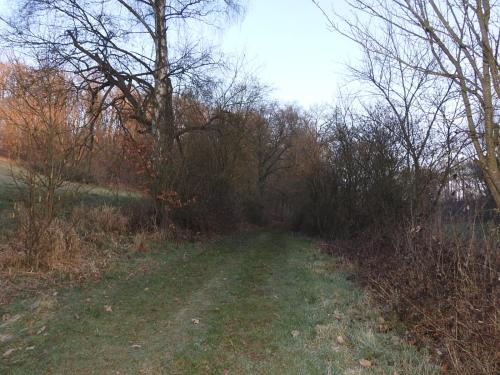 a dirt road in a field with trees at Dorfgalerie Lahntal in Villmar