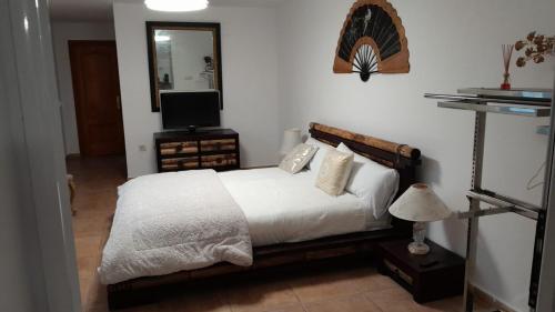 a bedroom with a bed with a television and a mirror at Villa relax todo verde natural in Almuñécar
