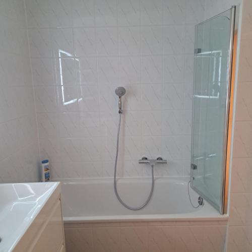 a bathroom with a shower with a bath tub at Ferienwohnung Reichel in Freiberg
