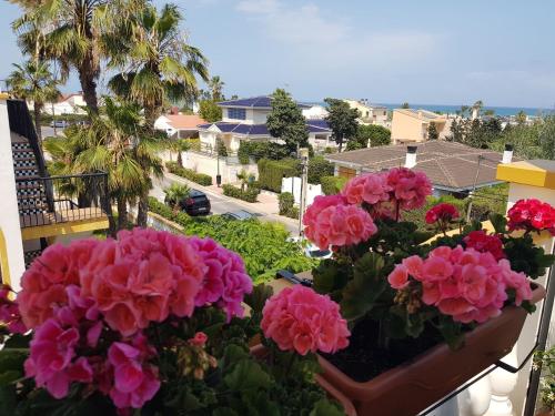 Apartment near beach, 3 bedrooms, garage