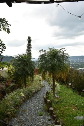 a gravel path with palm trees on a hill at Dreamers Garden Farmstay in Hoat