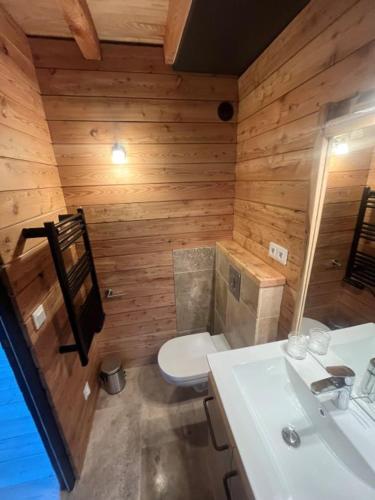 une salle de bain avec toilettes et lavabo dans l'établissement Les gîtes de Sainte Croix, à Sainte-Croix-Vallée-Française