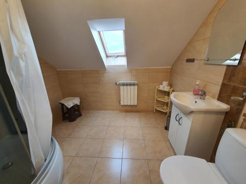 a attic bathroom with a toilet and a sink at Agro u Murzyna in Sienno