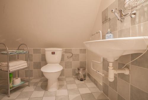 a bathroom with a sink and a toilet at Penzion SATEK in Lipova Lazne