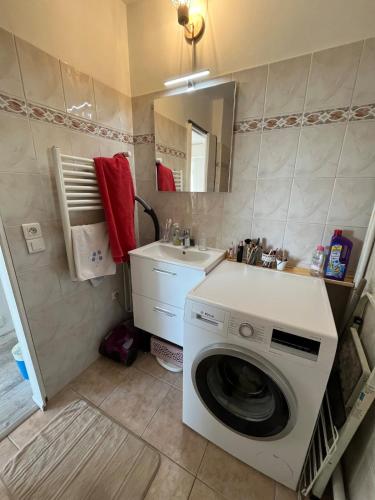 une salle de bain avec une machine à laver et un lavabo dans l'établissement Studio et terrasse près de Paris, à Suresnes