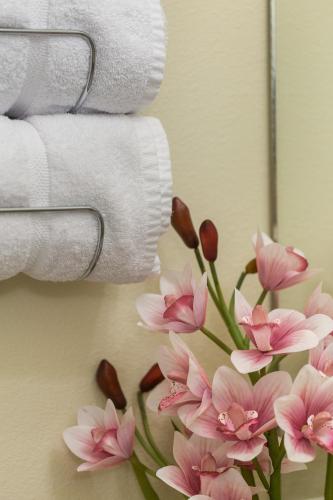 a bunch of toilet paper and pink flowers on a wall at THE PENDLETON - Walkable - Arcade Loft - Modern- Light & Bright in Eugene