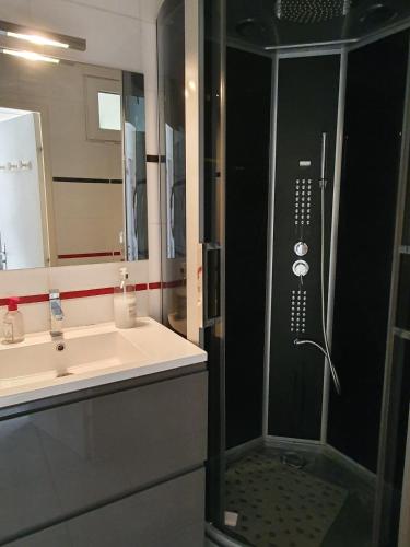 une salle de bain avec douche et lavabo dans l'établissement Maison avec jardin clos dans residence, à Gruissan