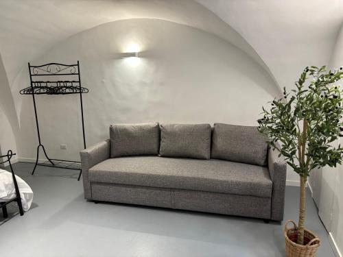 White Dome Retriet photo 16