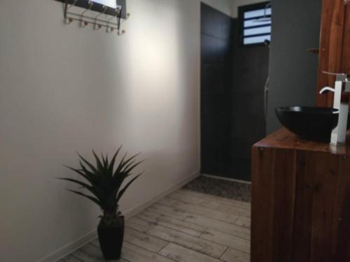 a bathroom with a sink and a potted plant at la villa TIKALIKATA in Saint-Joseph