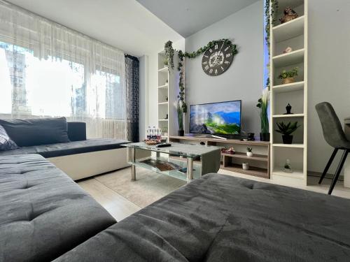 a living room with a couch and a tv at GreatForestSportAndSpaUniversityFlat in Debrecen