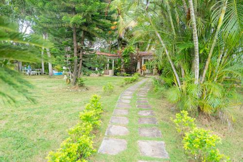 a stone path in a garden with palm trees at Rancho Juliana in Villas del Mar