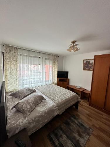 a bedroom with a large bed and a window at Pensiunea Dor de munte in Arefu