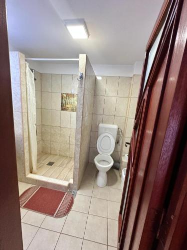 a bathroom with a toilet and a shower at Pensiunea Dor de munte in Arefu