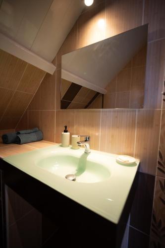 une salle de bain avec un lavabo et un miroir dans l'établissement Les gites Inclusifs d'OMAOMA, à Saint-Jouin-Bruneval