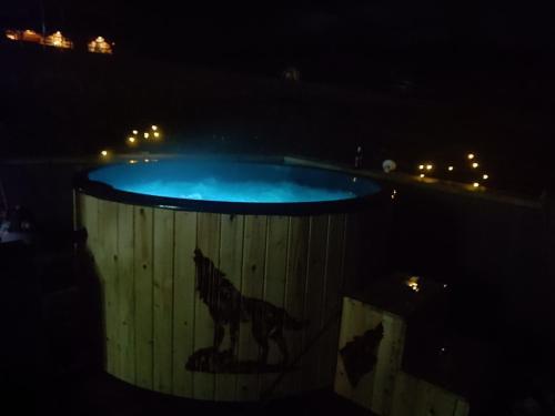 a swimming pool at night with a dog painted on it at Pokoje goscinne u Olguni in Chyrowa