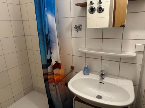a small bathroom with a sink and a shower at Moderne und komfortable Appartements im Ferienpark Hahnenklee in Hahnenklee-Bockswiese