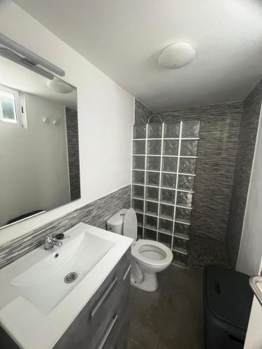 a bathroom with a sink and a toilet and a mirror at Casa ADOLFO in Almáciga