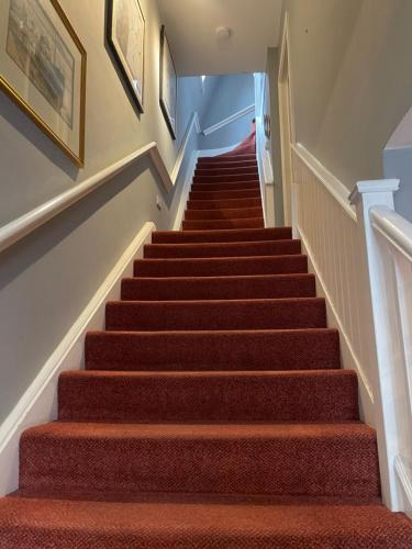 a flight of stairs with red carpeting at The Old Seed Store in Stamford