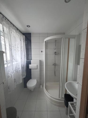 a bathroom with a shower and a toilet and a sink at Pod Kogutami Chałupy in Chałupy