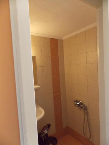 a bathroom with a shower and a sink at Zavitsa in Xiropigado