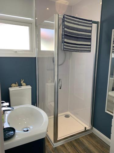 une salle de bain avec douche et lavabo dans l'établissement Beach Buoys holiday chalet Close to the dog friendly beach, à Bridlington